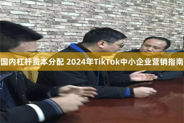 国内杠杆资本分配 2024年TikTok中小企业营销指南