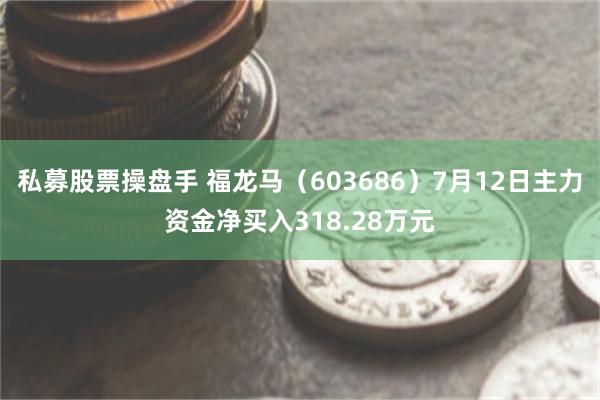 私募股票操盘手 福龙马（603686）7月12日主力资金净买入318.28万元