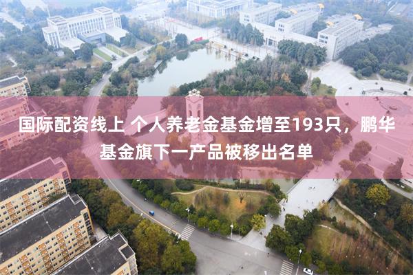 国际配资线上 个人养老金基金增至193只，鹏华基金旗下一产品被移出名单