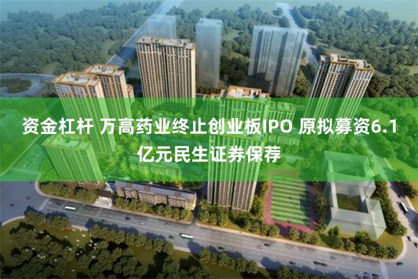 资金杠杆 万高药业终止创业板IPO 原拟募资6.1亿元民生证券保荐