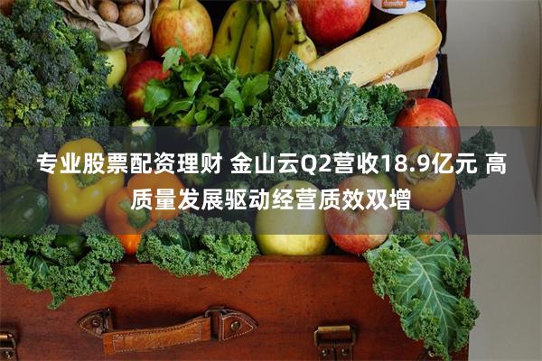 专业股票配资理财 金山云Q2营收18.9亿元 高质量发展驱动经营质效双增