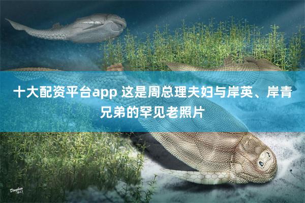 十大配资平台app 这是周总理夫妇与岸英、岸青兄弟的罕见老照片