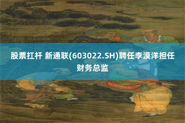 股票扛杆 新通联(603022.SH)聘任李漠洋担任财务总监