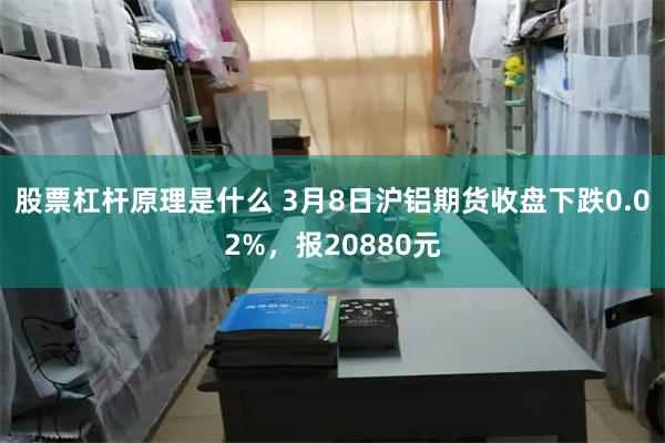 股票杠杆原理是什么 3月8日沪铝期货收盘下跌0.02%，报20880元